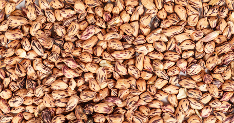 Background and texture of peanut kernels.