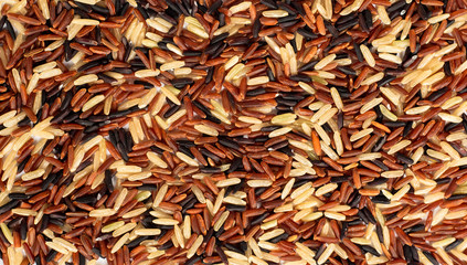 Texture and background of rice berry