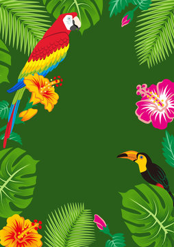 Parrot and toucan in the tropical plants frame