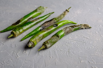 An ugly, rotten green chili pepper covered in mold on a gray background with space for text in a...