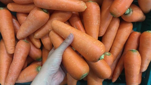 Buy carrot at the market. Close-up of chooses carrot in a supermarket