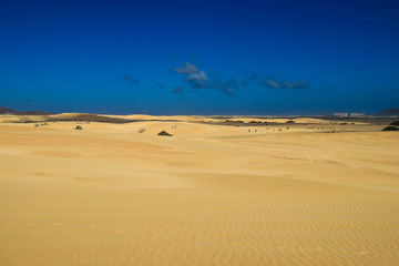 die Sanddünen von Corralejo in Fuerteventura