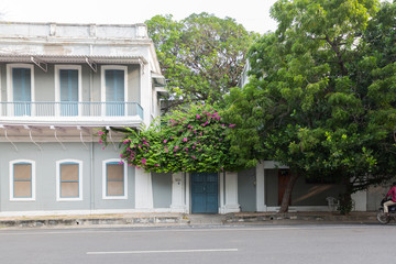 Pondicherry, India - November 8, 2019: Street with colorful houses and bougainvillea at Pondicherry in India