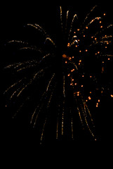 Colorful fireworks on the black sky background.