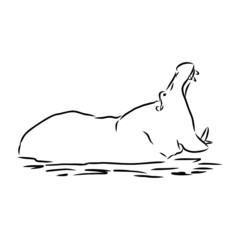 Hippopotamus in the water, sketch 