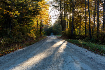 road in autumn forest