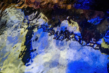 Abstract shark underwater