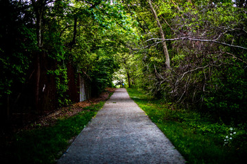 Fototapeta premium path in park