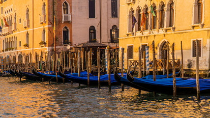 gondolas on grand canal in venice © SATHYA VASUDEVA