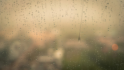 Rain