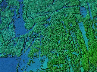 DEM - digital elevation model. Hipsometric photo taken from a drone. It shows forest area during recultivation with a lot of trees.
