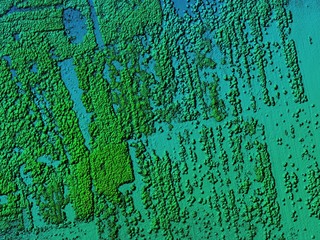 DEM - digital elevation model. Hipsometric photo taken from a drone. It shows forest area during recultivation with a lot of trees.