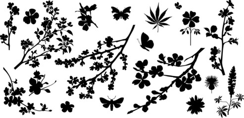 Collection of variable plants and flowers - silhouettes