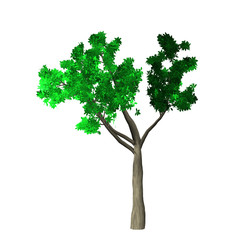 green tree illustration on white background