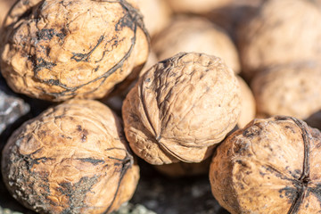 walnuts on the stone close up macro detail