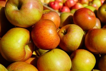 Fresh red and yellow apples at a farmers market