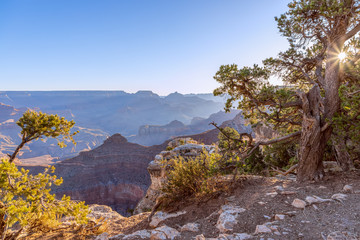 Fototapeta na wymiar Beautiful view of the Grand Canyon in the light of the rising sun