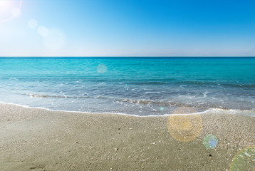 夏の海
