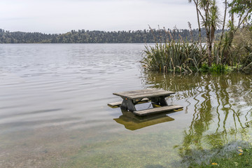 Fototapeta na wymiar flooded picnic table at Ianthe lake, near Pukekura, West Coast, New Zealand
