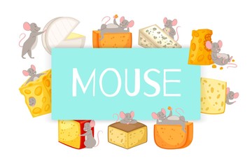 Mice and pieces of cheese vector cartoon illustration of mouse happily nibbling on chunk of cheese. Mouse, symbol of 2020 year and different sorts of cheese banner.