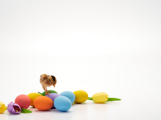 Colorful Easter eggs and chicks.