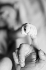 newborn baby's little pen holds dad's fingers