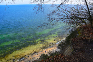 view of the cliff with trees and the Baltic Sea, Gdynia in Poland