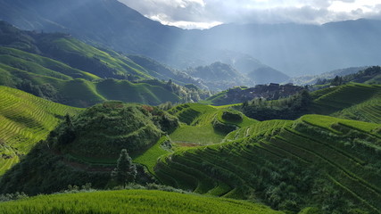 Obraz premium Rice terrace with silver lining