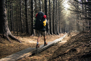Senderista caminando sobre una pasarela de madera en medio de un bosque otoñal en Irlanda 