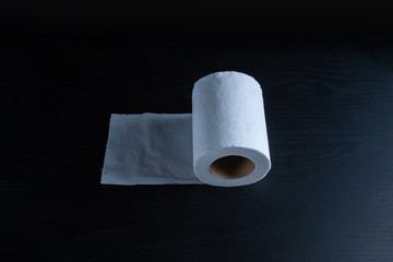 Small toilet paper roll on dark background side view
