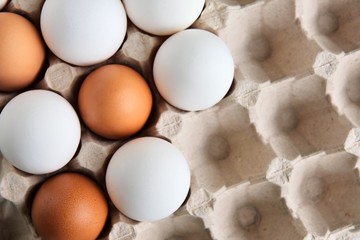 Brown and white chicken eggs in cardboard egg tray. Organic egg for healthy protein breakfast. Easter symbol. Raw chicken eggs.