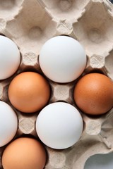 Brown and white chicken eggs in cardboard egg tray. Organic egg for healthy protein breakfast. Easter symbol. Raw chicken eggs. Vertical position 