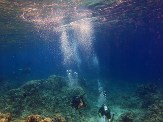 Diver underwater unusual view, concept depth