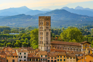 Nahaufnahme eines Turmes in der historischen Stadt Lucca in der wunderschönen Toskana 