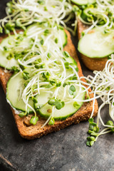 Sandwich with cucumber, cheese and microgreens. Selective focus. Shallow depth of field.