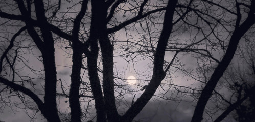 Full moon night.