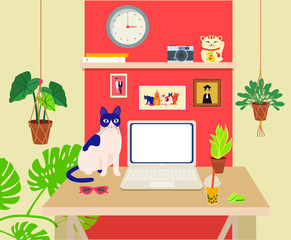 Office workplace with computer, indoor plants and a cat. Cute freelancer workplace. 