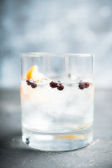 Gin based cocktail with lemon slice and juniper berries. Selective focus. Shallow depth of field.
