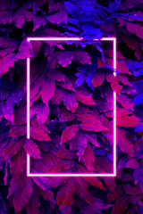 Сreative fluorescent color layout. Neon light flat square frame on leaves background in dark colors, fluorescent color palette copy space for banner, poster, card, sale advertisement, party invitation
