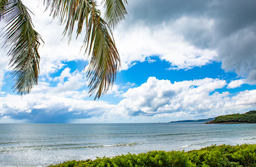 Folhas de palmeira e belas nuvens de tempestade e chuva tropical sobre o mar azul 