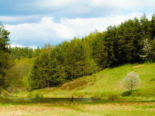 Hills, meadows and forest typical landscape of Kashubian Region, Poland.