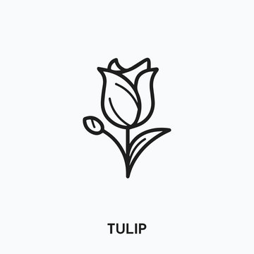 tulip icon vector. flower symbol sign