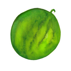 A whole bright watermelon. Watercolor illustration isolated on white background