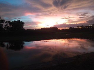 Best nature photos,cat,sky,river, flowers etc