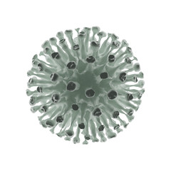 COVID-19 ,Coronaviridae ,virus 2020 ,chinese virus 2019-nCoV