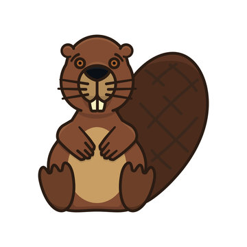 Beaver character isolated vector illustration