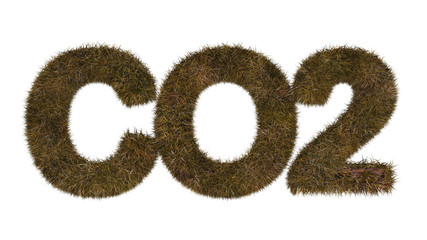 Das Wort CO2 aus verwelktem Gras