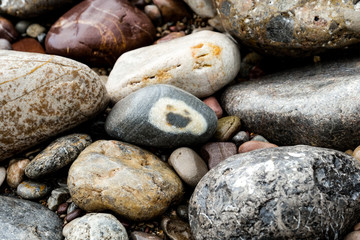 ein angespülter grauer Stein mit einem Gesicht zwischen vielen anderen Steinen am Strand 
