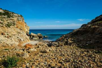 Küste am blauen Meer an der sich wild lebende Schafe befinden