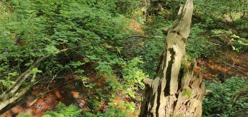 Rockstrotter Quelle 2